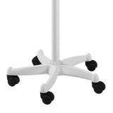 Professional Facial Steamer 1107