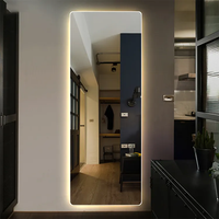 3-color Frame LED Salon Mirror (67' x 27.5')