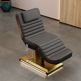 Electric Beauty Bed
